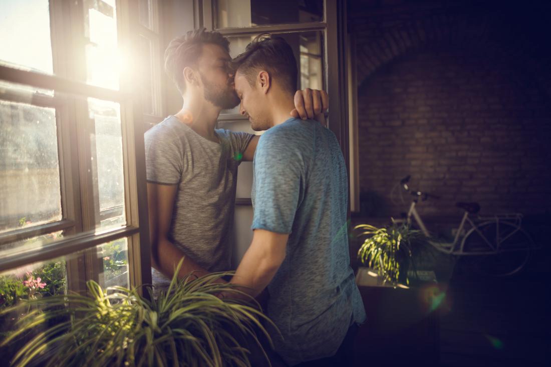 Gay couple two men at home kissing