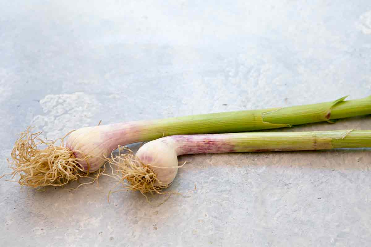 green garlic